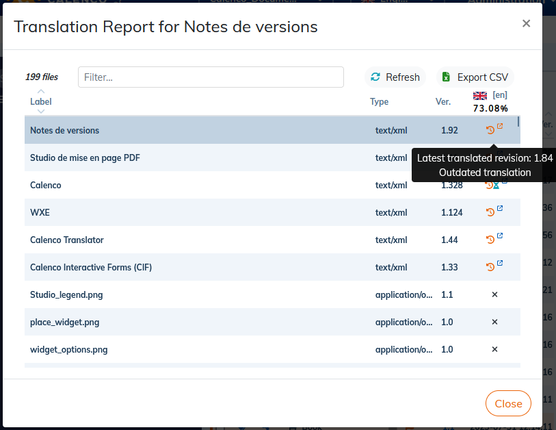 Translation report for a translated document