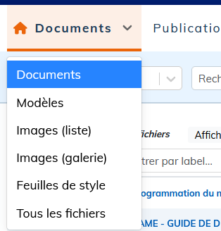 S&eacute;lectionnez le type de contenu &agrave; afficher